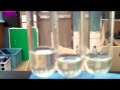 Factors Influencing Enzyme Activity