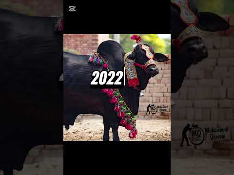 Duniya Ke Sabse Pyare Janwar! 🥰 (Wait For The End) |Cutest Animals #Trending #PetsKiDuniya #CutePets