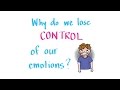 Understanding Emotions and the Brain