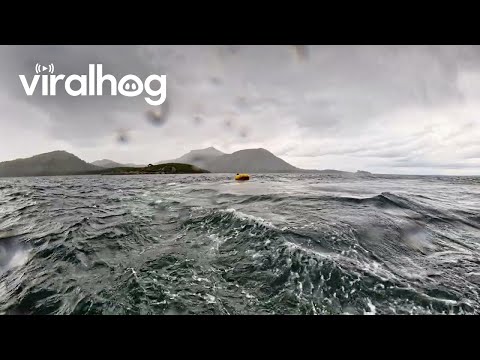 Humpback Whale Briefly Swallows Kayaker || ViralHog