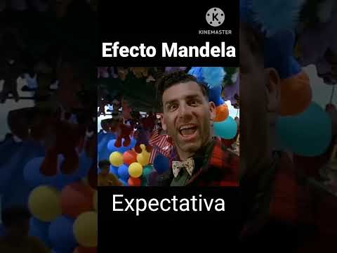 Efecto Mandela: Expectativa vs Realidad | #SrPelo #Memes #Reels