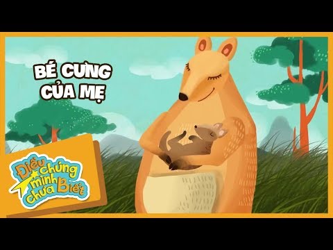 Bé Cưng Của Mẹ  | Điều Chúng Mình Chưa Biết | Hi Pencil Studio