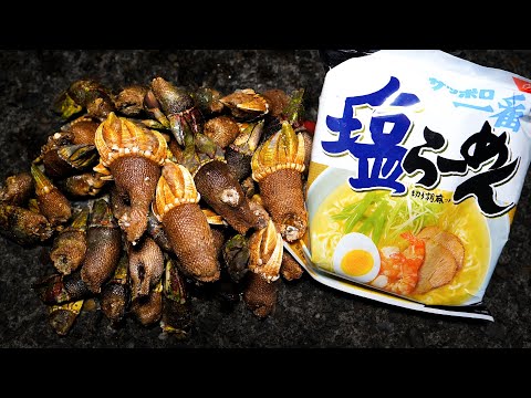 カメの手でダシ取ってラーメン作ってみた【ENG SUB】