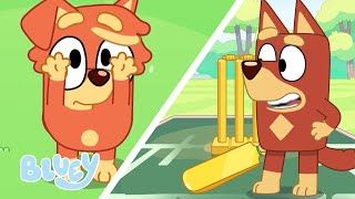 Rusty Hits His Little Sister a Catch 🥰 🏏 💙 | Bluey Season 3 Highlight - Cricket ⭐️ | Bluey