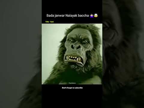 टॉयलेट कथा Bada janwar nalayak baccha 🤷🏻♀️🤯 #shorts #viral #tranding #factsborn