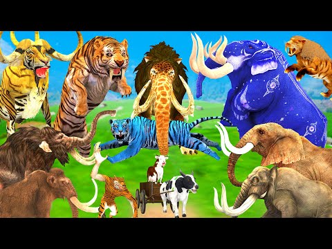 Giant Tiger Wolf Bull vs Giant Lion Elephant Gorilla Cow Buffalo Baby Elephant Fight Cartoon Animals