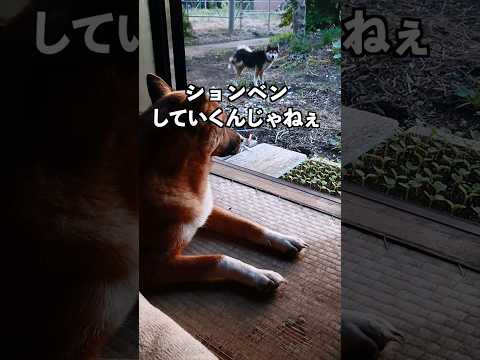【回想】ジョン台風の来訪。
