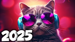 AS MELHORES MÚSICAS ELETRÔNICAS DE 2025 ⚡️ MÚSICAS ELETRÔNICAS ⚡️ NA BALADA ⚡️ALOK, DAVID GUETTA MIX