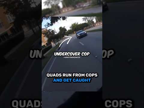 Quads Run From Cops And Get Caught 🤯