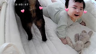항상 같이 자는 애착 고양이가 옆에 오자 아기의 찐 반응