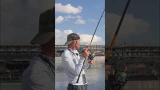 NESMYSLNÝ masakr dravých bolenů! 😱🐟