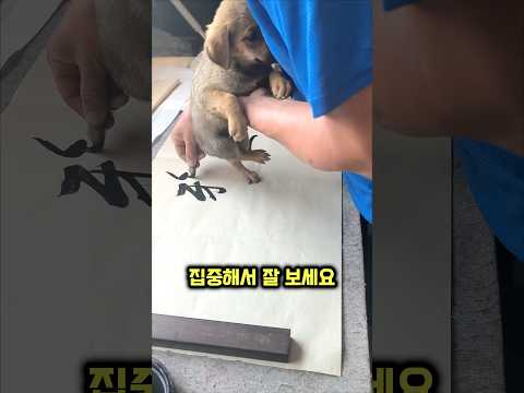 보호자가 댕댕이의 꼬리를 먹물에 적시는 이유