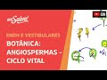 Fecundação e Estruturas das Angiospermas
