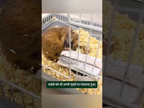 जिसे रोज भगाया आज वही जान बचाने आया  #facts #shortsvideo #shorts #hindifacts #story #storiesinhindi