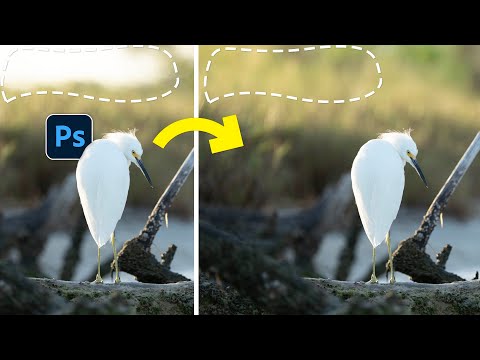 Why Content-Aware Fill is STILL a MUST-KNOW Photoshop Tool