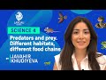 Food Chains and Webs Concepts