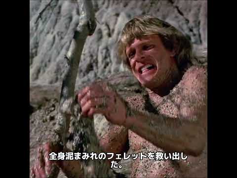 その男性は動物と話すことができる。#shorts #movie #japan