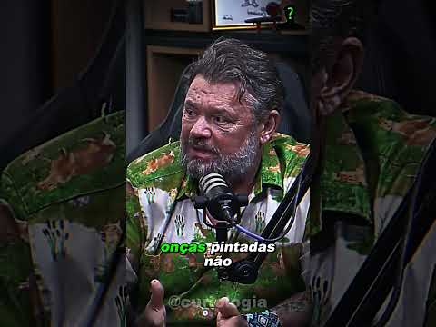 A TERRÍVEL HISTÓRIA DOS LEÕS SOMBRA E ESCURIDÃO ...   #animal   #curiosidades  #richardrasmussen
