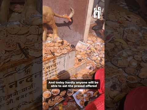 प्रसाद का wastage, ये कैसी भक्ति !🚩#shorts #hindu #mandir