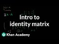 Identity Matrices and Their Properties