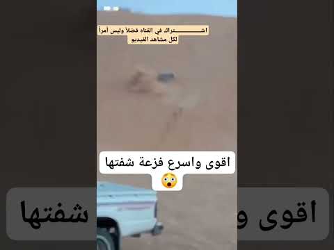 #تصويري #ضحك #لايك #ترند #تصوير #automobile #funny #هجوله متابعه اعجاب 👍