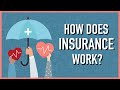 Understanding Insurance