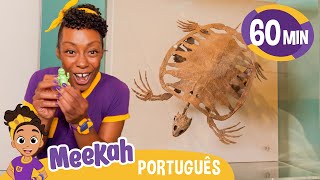 Meekah e os fósseis de dinossauros! | 💜Olá Meekah!💜| Amigos do Blippi Brasil  | Videos Educativos