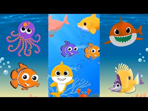Baby Shark Dance Song video for kids Nursery rhymes toddlers | Animals Sea Dolphin octopus