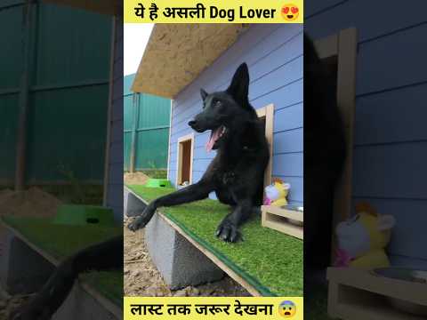 Ye banda hai asli dog lover 😍||