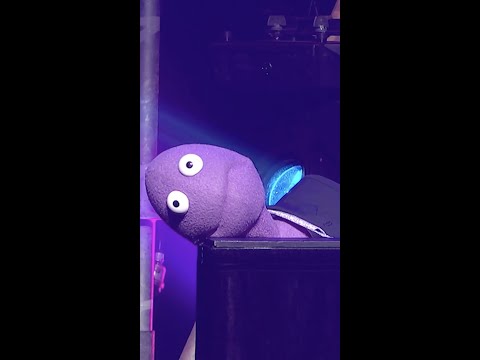 Randy Feltface - Owned by the Internet