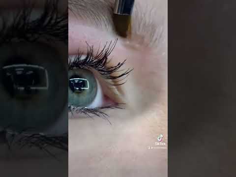 История + брови | треш истории с клиентами