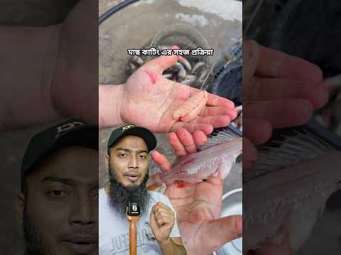 মাছ কাটিং এর সহজ প্রক্রিয়া