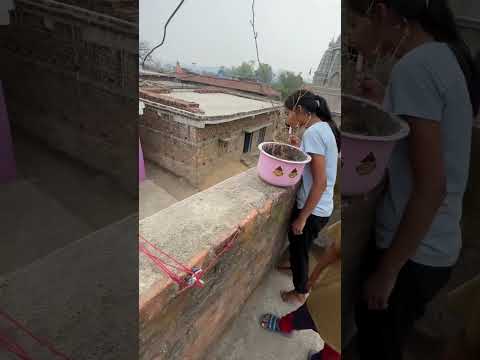 Feka wapas aya