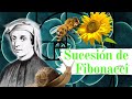 Matemáticas y la Sucesión de Fibonacci