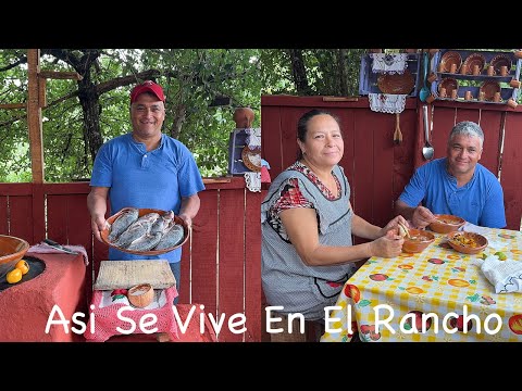 Como Hacer Caldo De Pescado De Rancho, Asi Se Vive En El Rancho