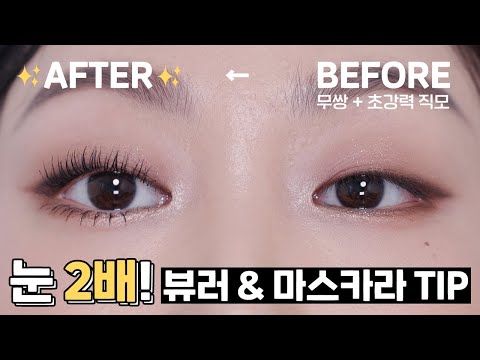 #떠먹팁 | 무쌍 눈 2배👀! 뷰러 & 마스카라 하는 법 | 민스코 Minsco