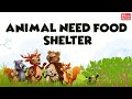 Animal Habitats and Diets