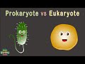 Exploring Prokaryotic and Eukaryotic Cells