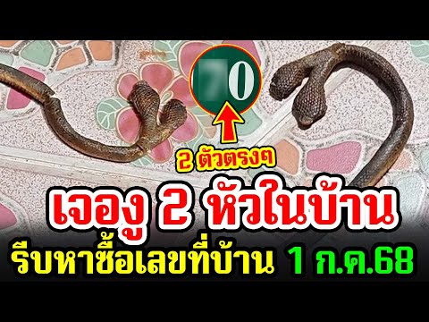เลขเด็ด เจองู 2 หัวในบ้าน รีบหาซื้อเลขที่บ้าน 2 ตัวตรงๆ มาให้โชคถึงที่ งวด 1 ก.ค.68