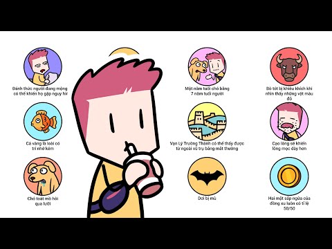 Những lầm tưởng mà con người vẫn cho là đúng trong 14 phút