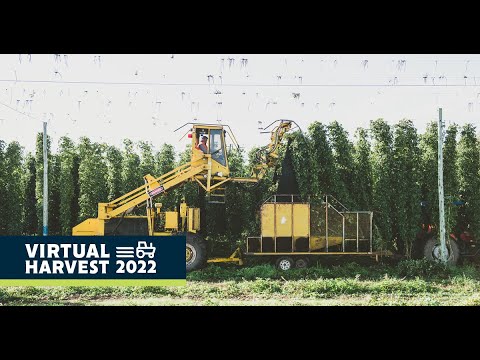 Virtual Harvest 2022: Victorian Farm Tour