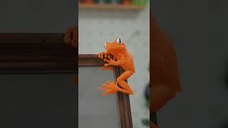 Put this clinging tree frog wherever you want and add a touch of nature and color to your space.