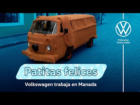 Trabajando en Manada logramos ayudar a perros callejeros