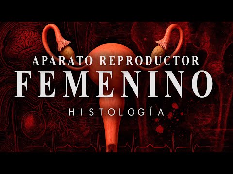 Histología - Aparato REPRODUCTOR FEMENINO (Útero, Trompas de Falopio, y DEMÁS)
