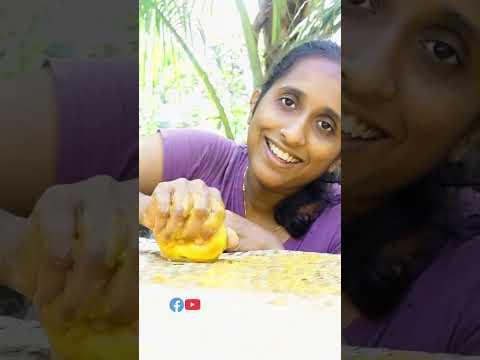 ഈ വർഷത്തെ മാങ്ങാത്തെര  റെഡി ആയിട്ടോ