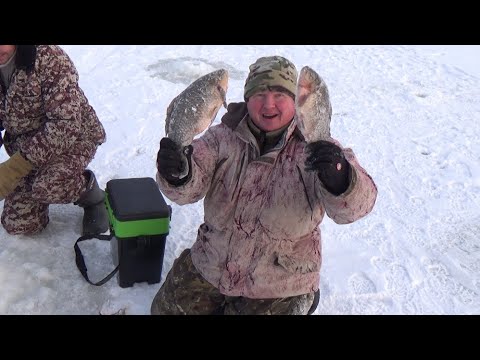 Два смычка в одной лунке. Рыбалка как в детстве.