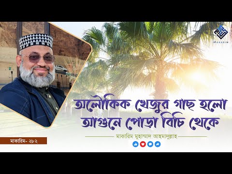 অলৌকিক খেজুর গাছ হলো আগুনে পোড়া বিচি থেকে - মাকারিম- ২৮২