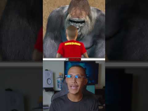 La historia del gorila Harambe 💔 #shorts