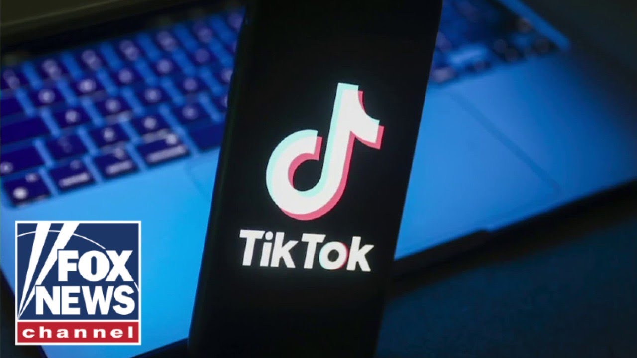 ‘We can’t trust TikTok. Period.’: Tech policy expert