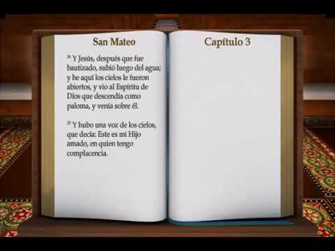 40. MATEO -  REINA VALERA 1960 - VOZ SAMUEL MONTOYA